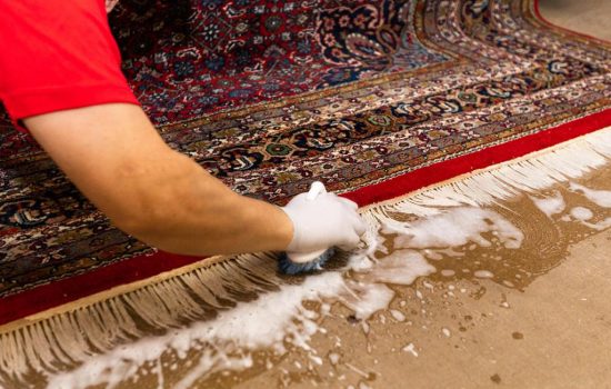 asiantraderug-rug-cleaning-brushtatrmvl-493f686b